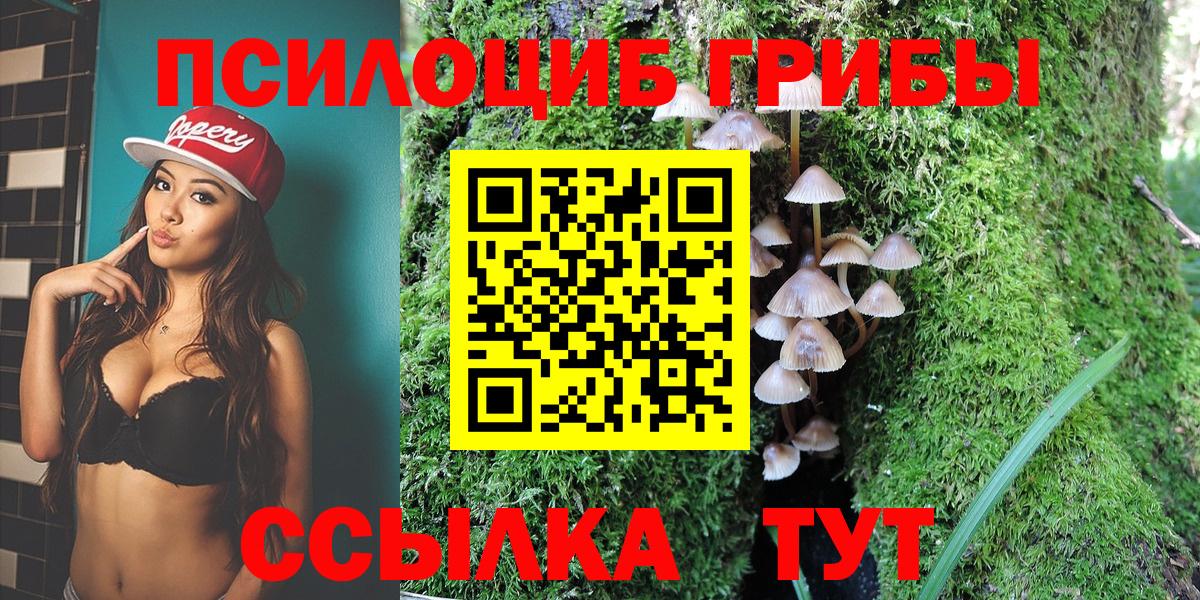 Галлюциногенные грибы Psilocybine cubensis Мурино