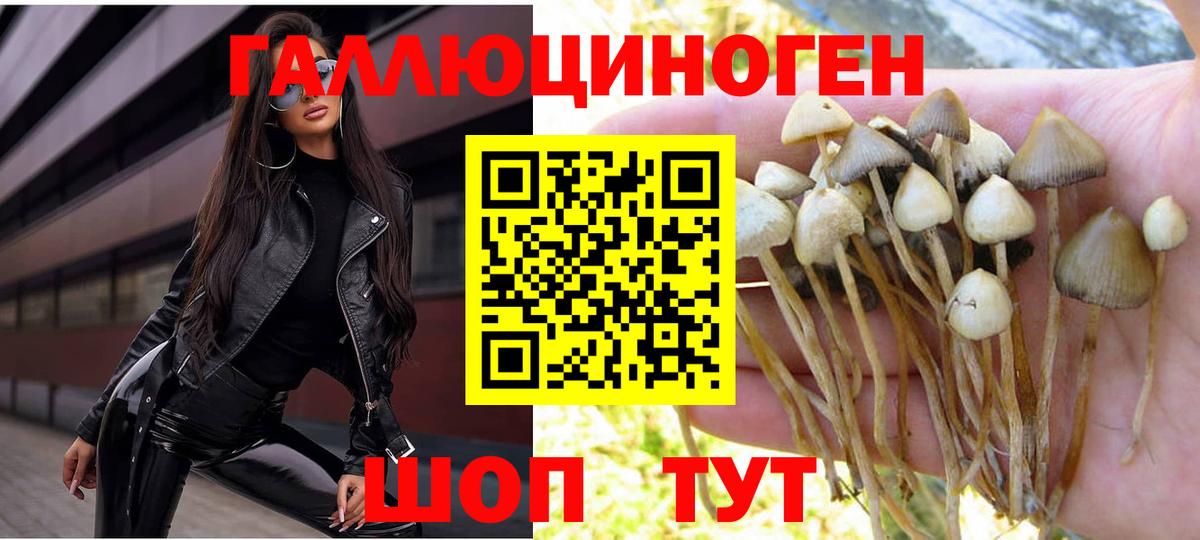Галлюциногенные грибы мицелий  Вход с VPN  где продают   Мурино 